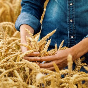 Fire Safety in Agriculture